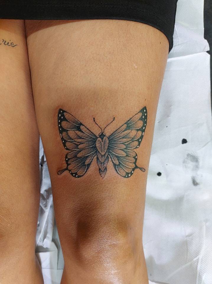 Papillon